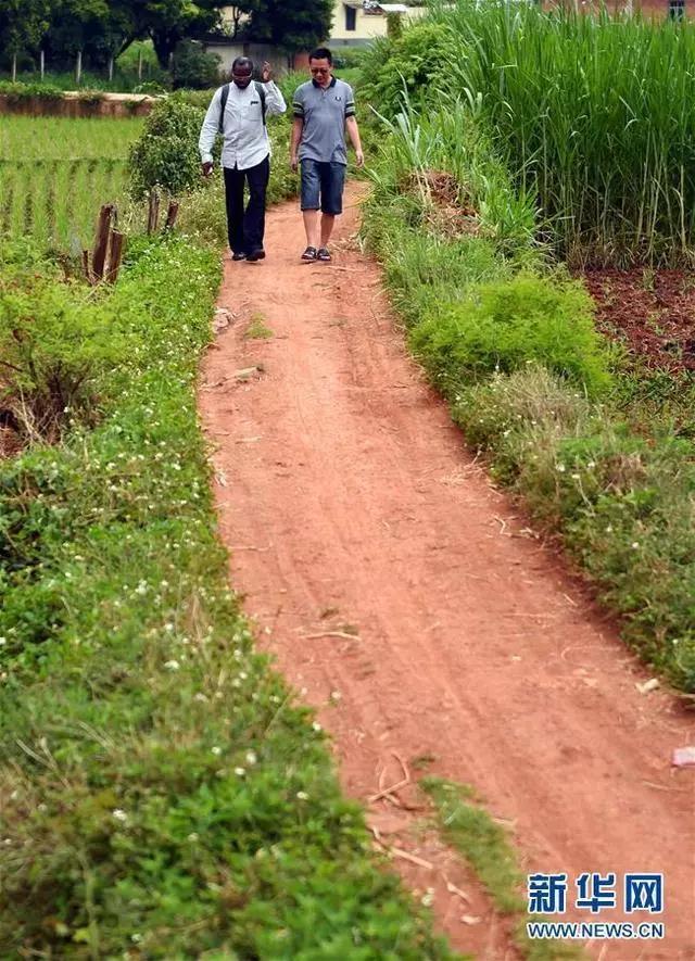 乡村道路上.jpg