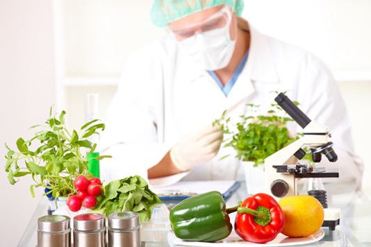 food-and-technology.jpg